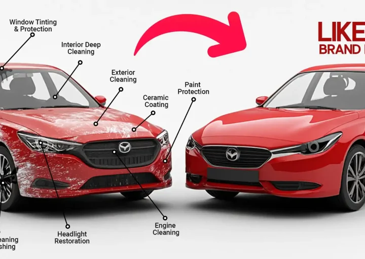 009ea1799c663b5a541665226d67a484